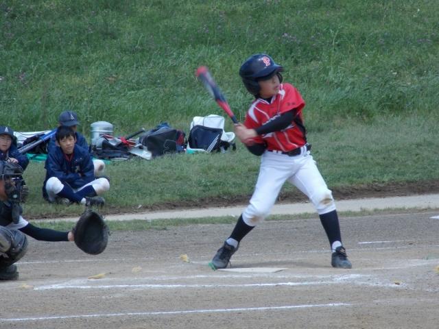 �`�[���ʐ^