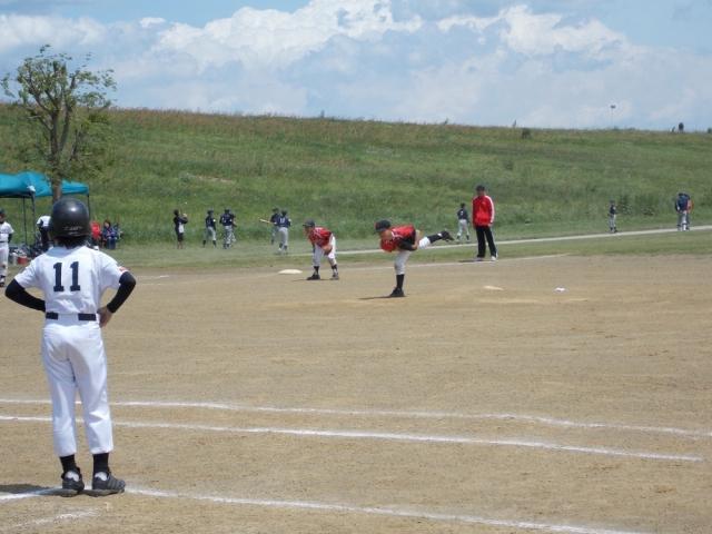 �`�[���ʐ^