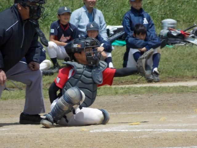 �`�[���ʐ^