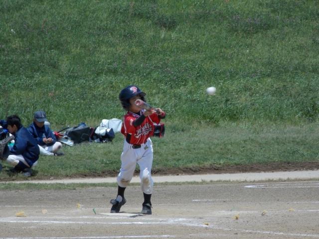 �`�[���ʐ^