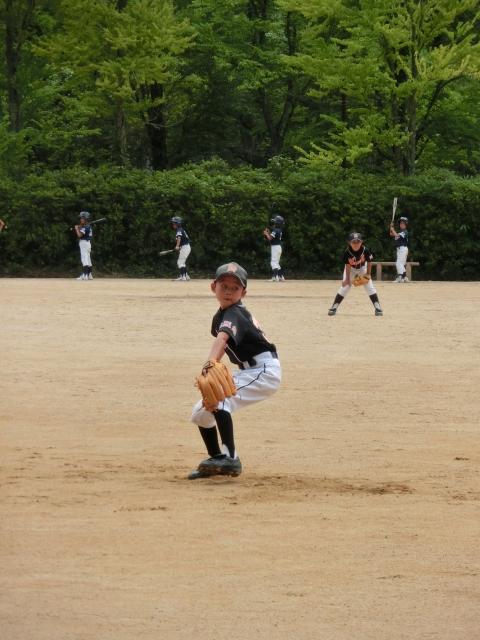 �`�[���ʐ^