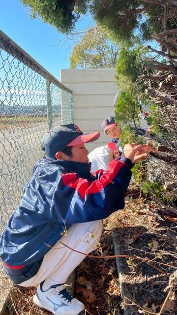 �`�[���ʐ^