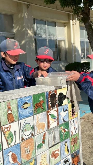 �`�[���ʐ^