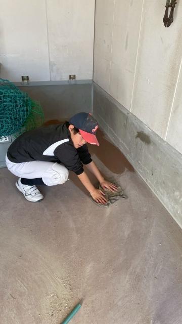 �`�[���ʐ^