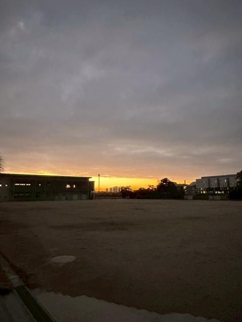 �`�[���ʐ^