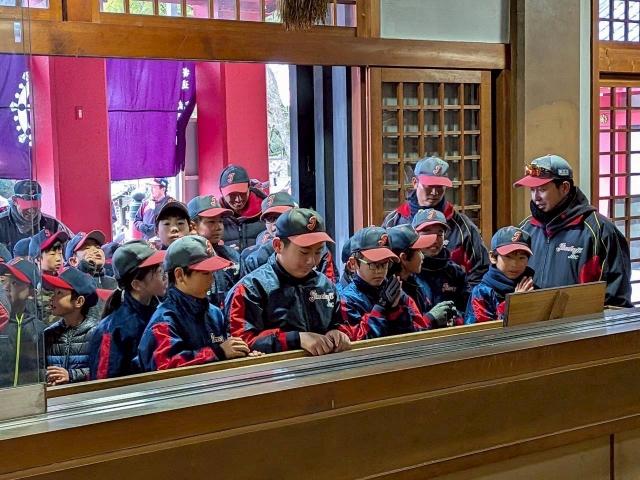 �`�[���ʐ^