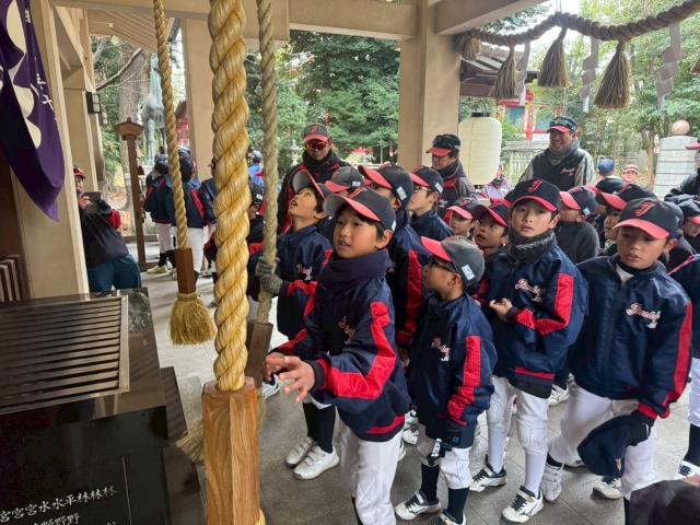 �`�[���ʐ^