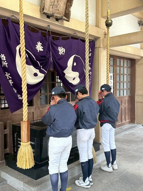 �`�[���ʐ^