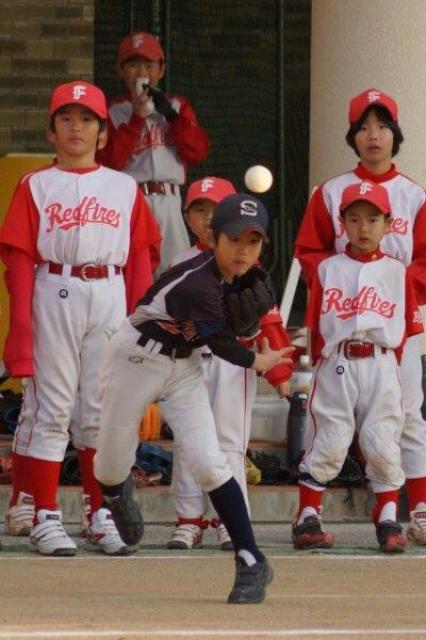 �`�[���ʐ^