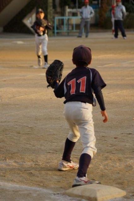 �`�[���ʐ^