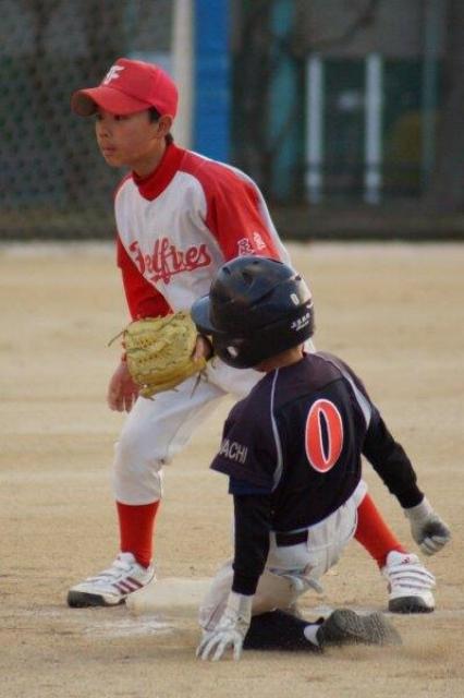 �`�[���ʐ^