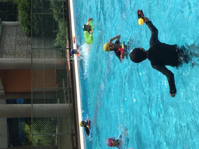 �`�[���ʐ^