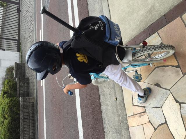 �`�[���ʐ^