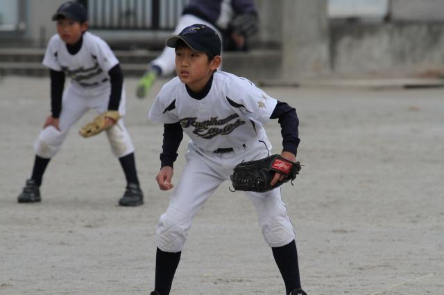 �`�[���ʐ^