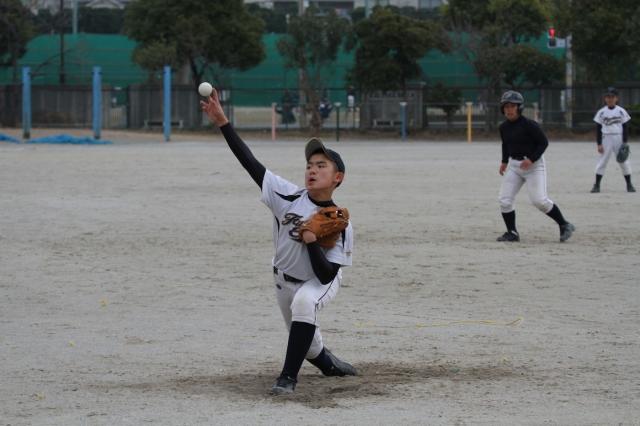 �`�[���ʐ^