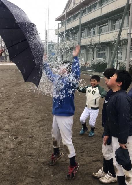 �`�[���ʐ^