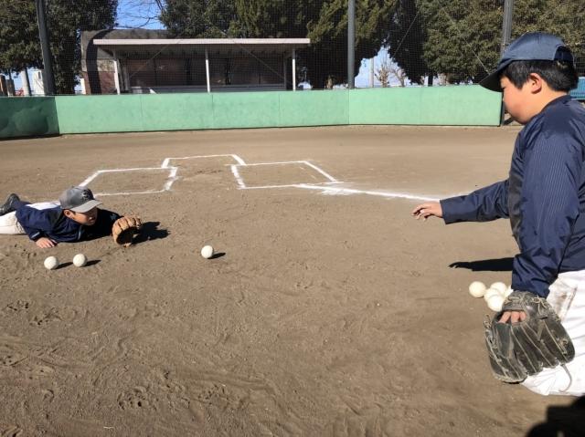 �`�[���ʐ^