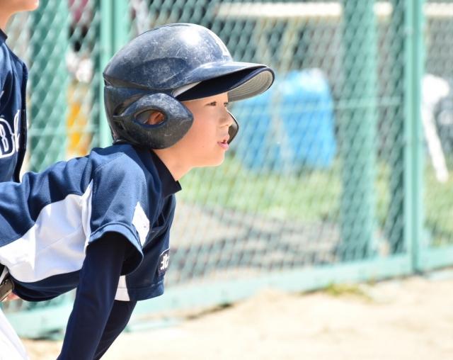 �`�[���ʐ^