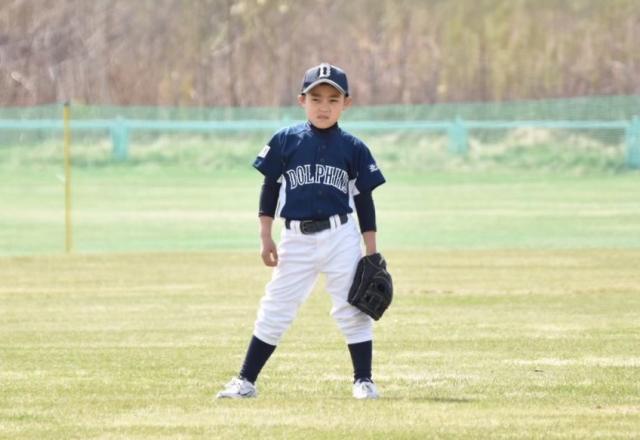 �`�[���ʐ^