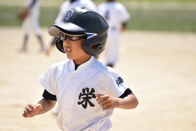 �`�[���ʐ^