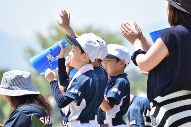 �`�[���ʐ^