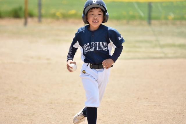 �`�[���ʐ^