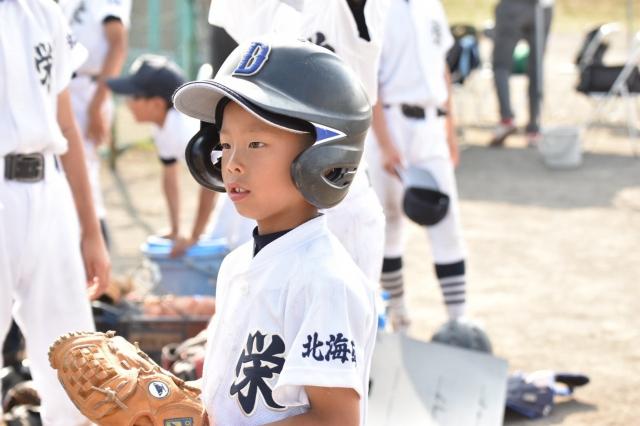 �`�[���ʐ^