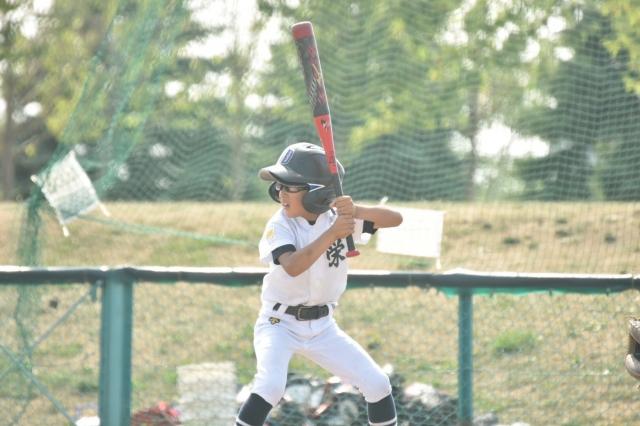 �`�[���ʐ^