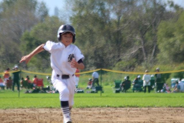 �`�[���ʐ^