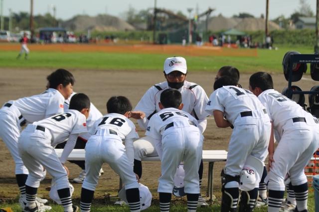 �`�[���ʐ^