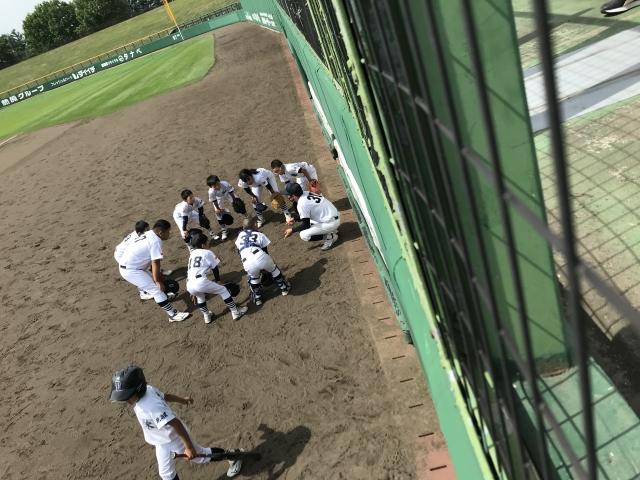 �`�[���ʐ^