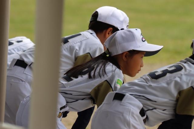 �`�[���ʐ^