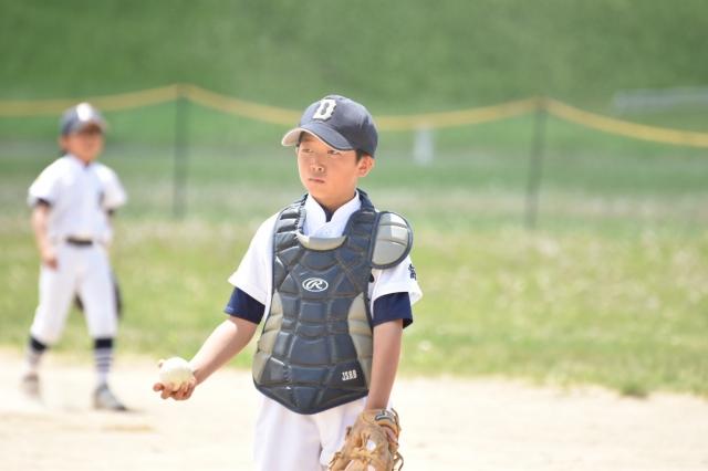 �`�[���ʐ^