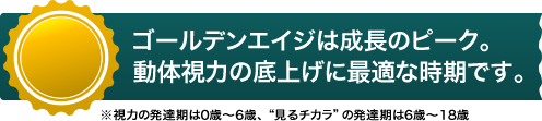 ゴールデンエイジは成長のピーク。動体視力の底上げに最適な時期です。