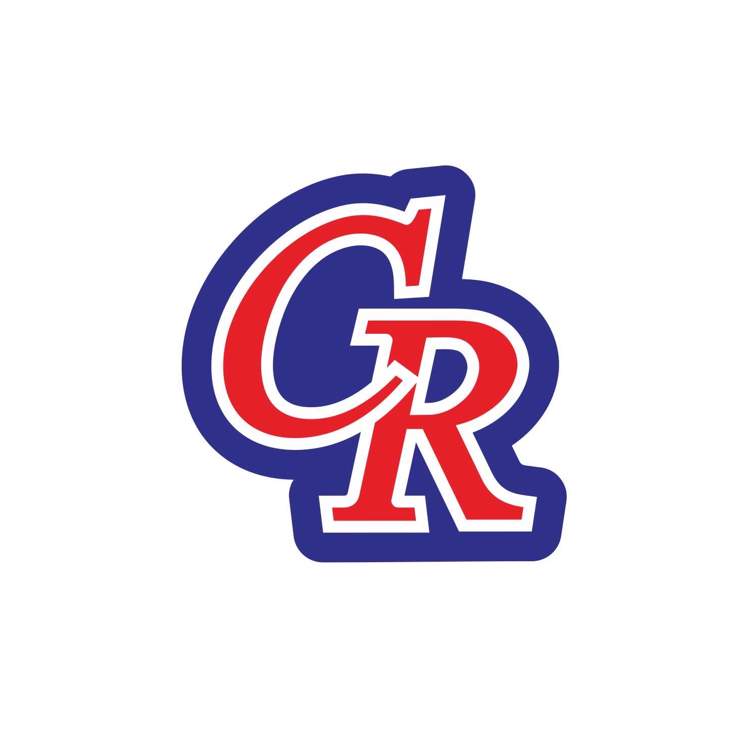 千歳ルーキーズ・東小合同チーム