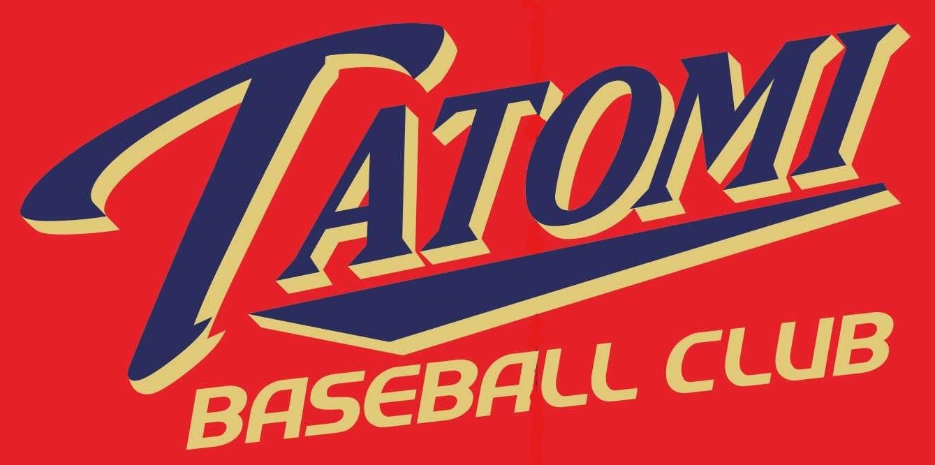 中央市田富野球スポーツ少年団