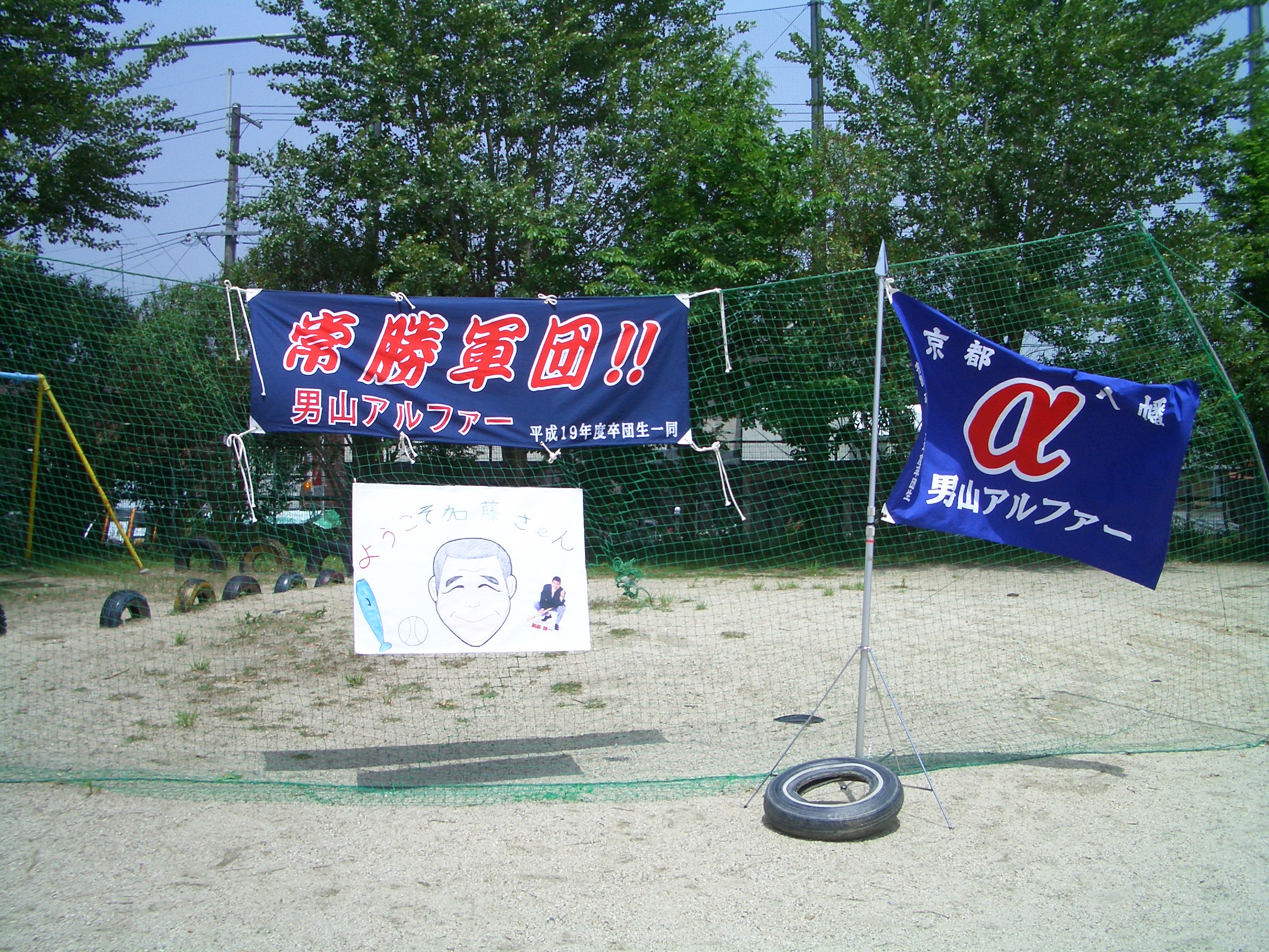 男山アルファー