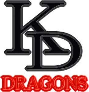 上荘ドラゴンズ