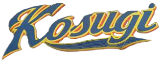 小杉大江少年野球クラブ