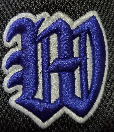 鳥取ウイングス