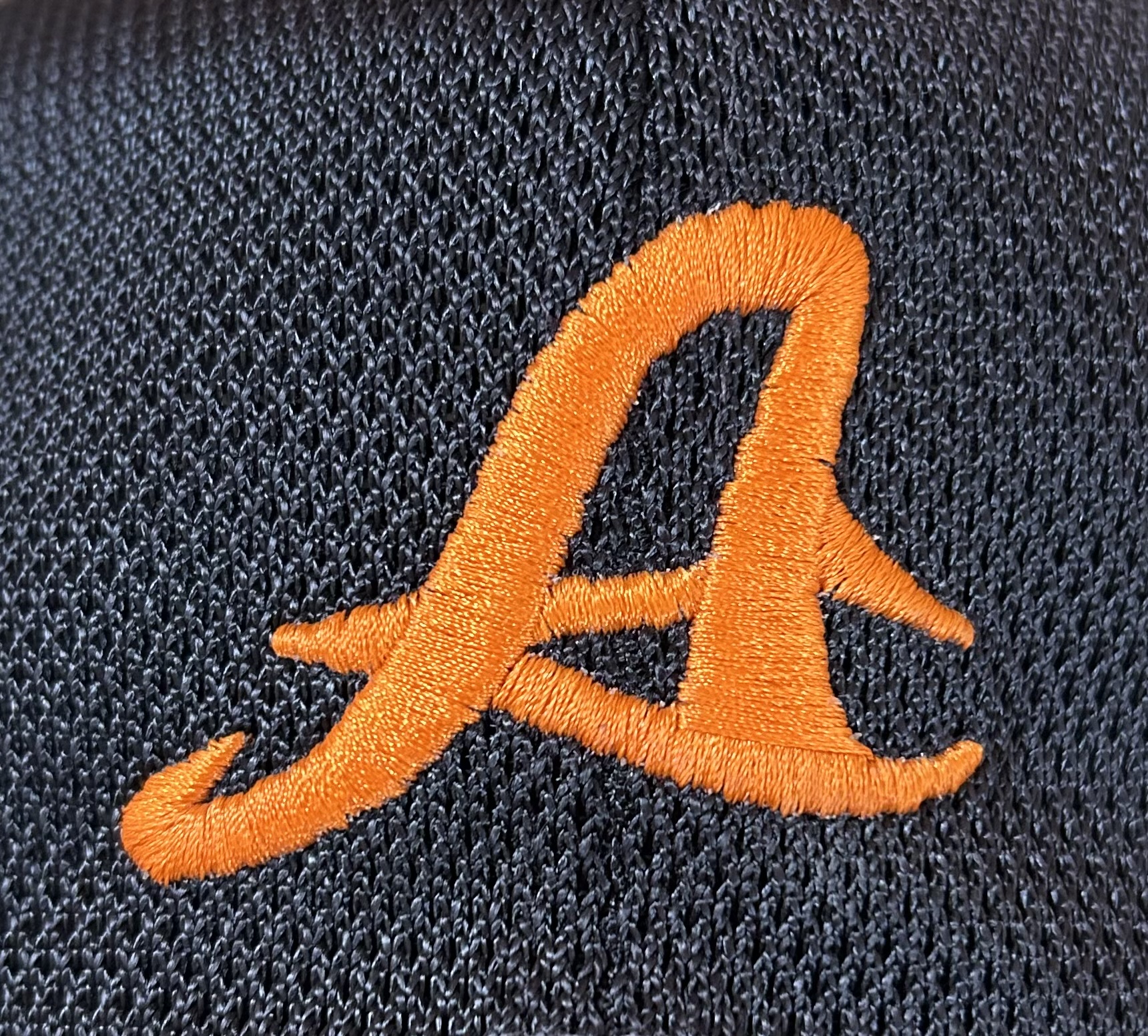 狩野エンゼルス