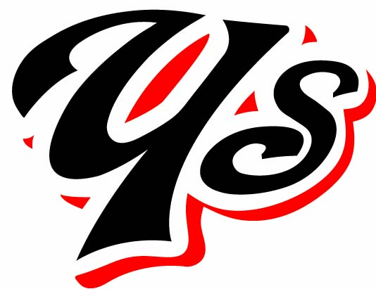 ヤング山陽スポーツ少年団