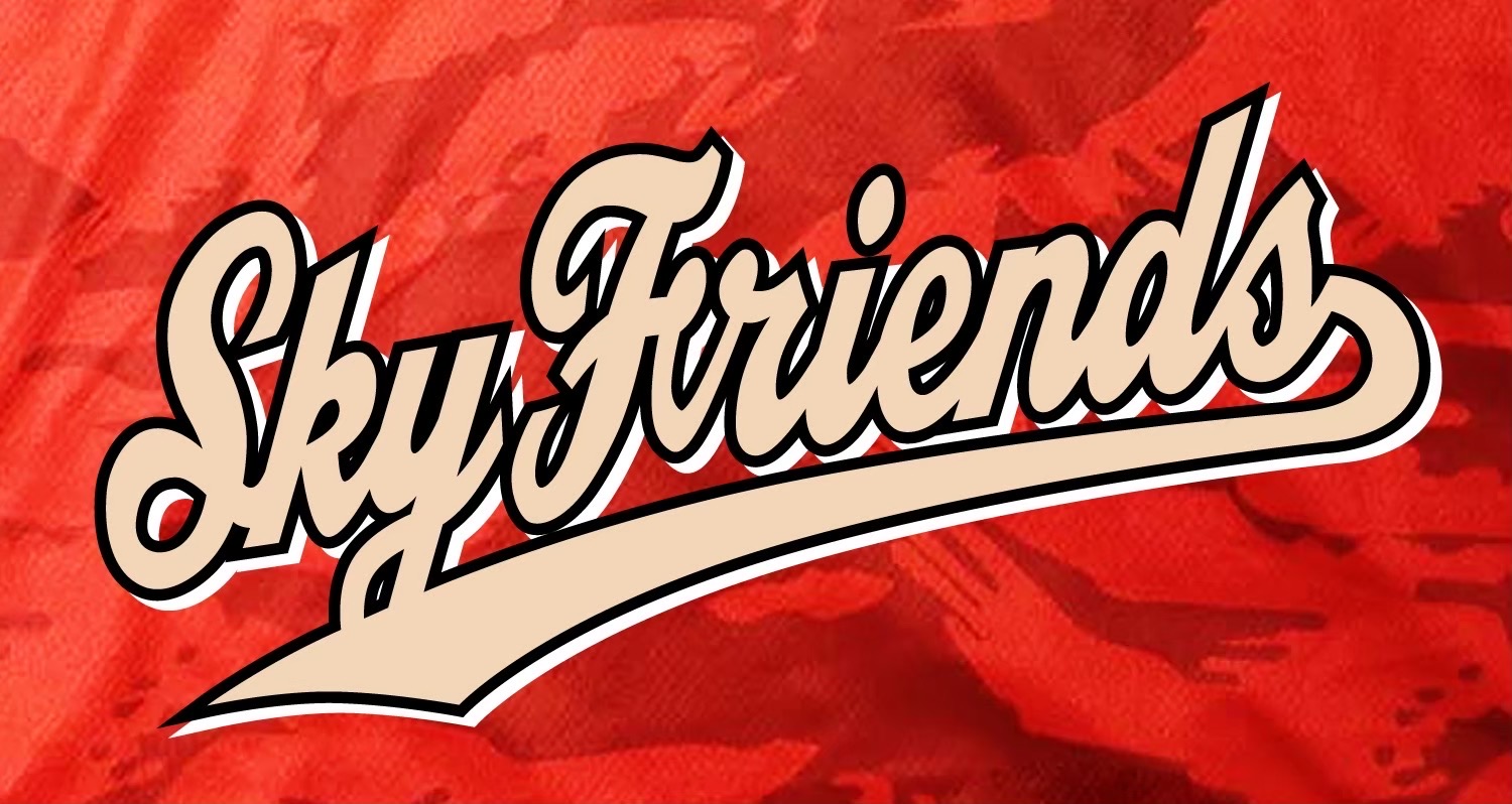 宮代スカイフレンズ