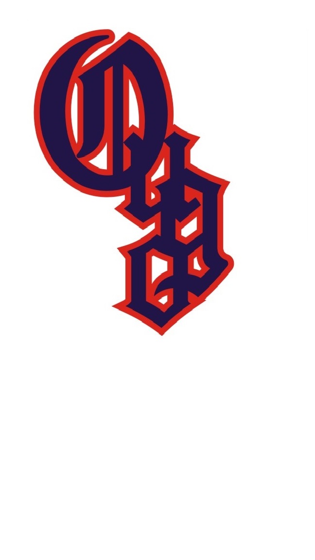 おうご少年野球団