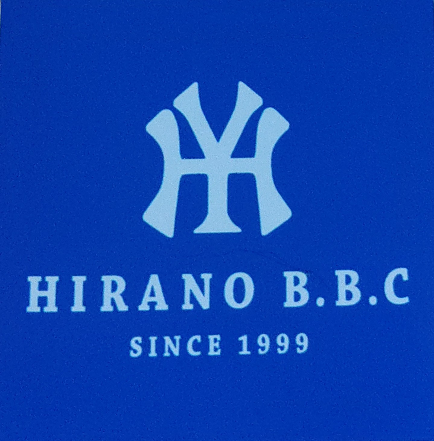 平野ベースボールクラブ 活動スケジュール