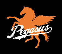 亀高ペガサスA　活動スケジュール