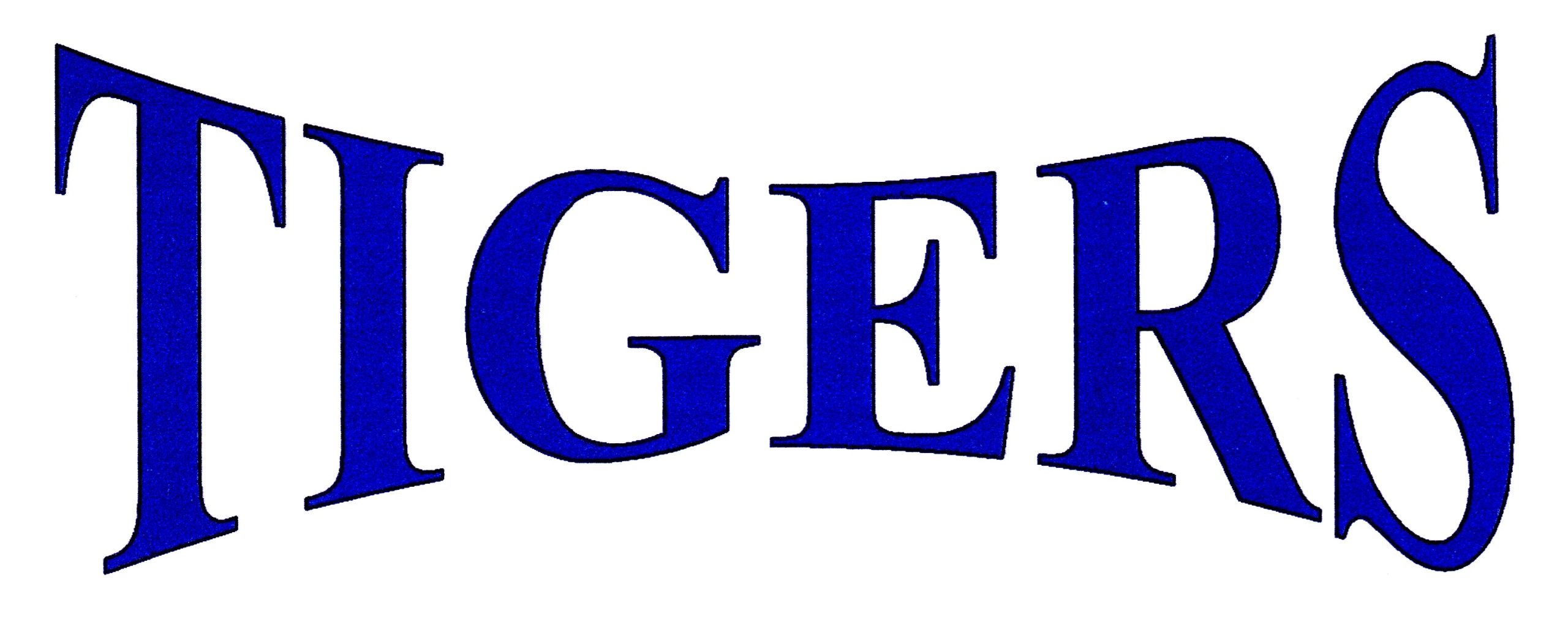 鮫浜タイガース