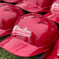 池雪ジュニアストロング　活動スケジュール