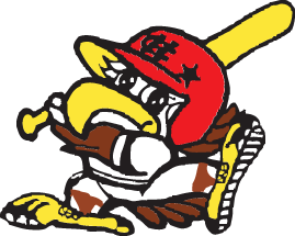 花栗コンドルズ