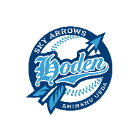 豊殿スカイアローズ